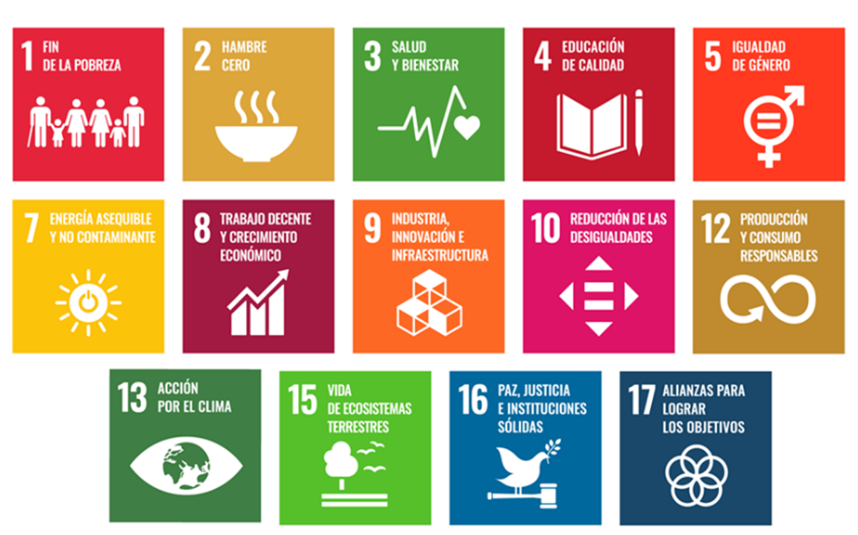 KPMG: En FY24 tuvimos 106 acciones a favor de 15 de los 17 ODS. Conoce aquí cuáles fueron las acciones con las que nos sumamos a la agenda global 2030.