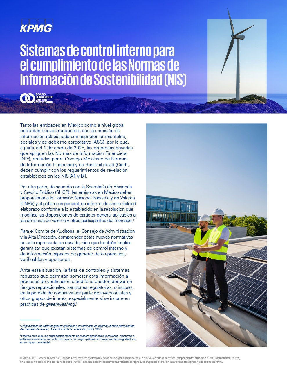 Sistemas de control interno para el cumplimiento de las Normas de Información de Sostenibilidad (NIS)