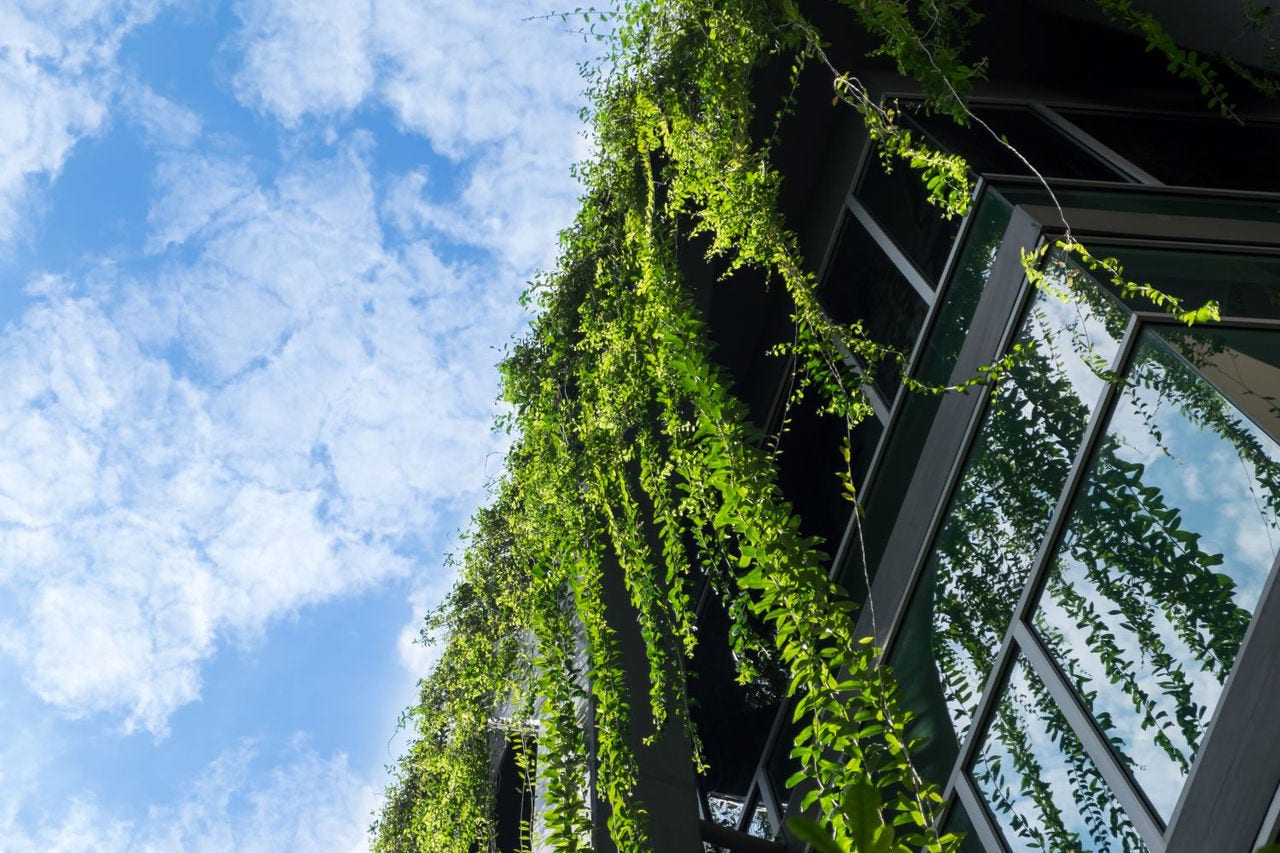 glass building covered in green plants