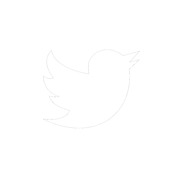 Twitter logo white