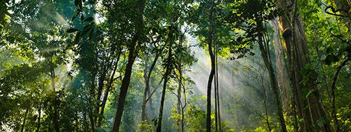 Climate disclosures checklist