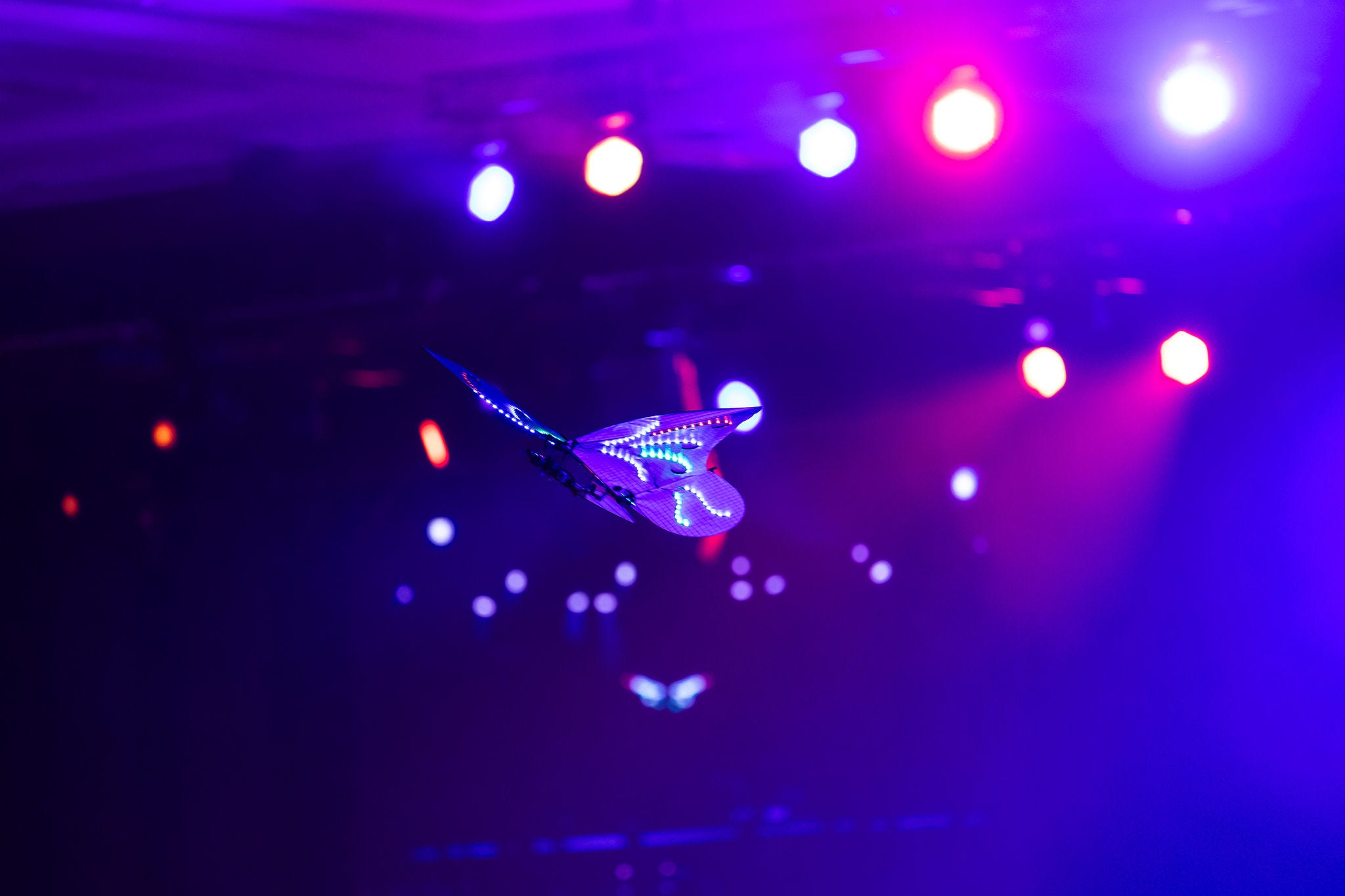 KPMG Dinner & Dance 2024 - A spectacular butterfly LED drone performance