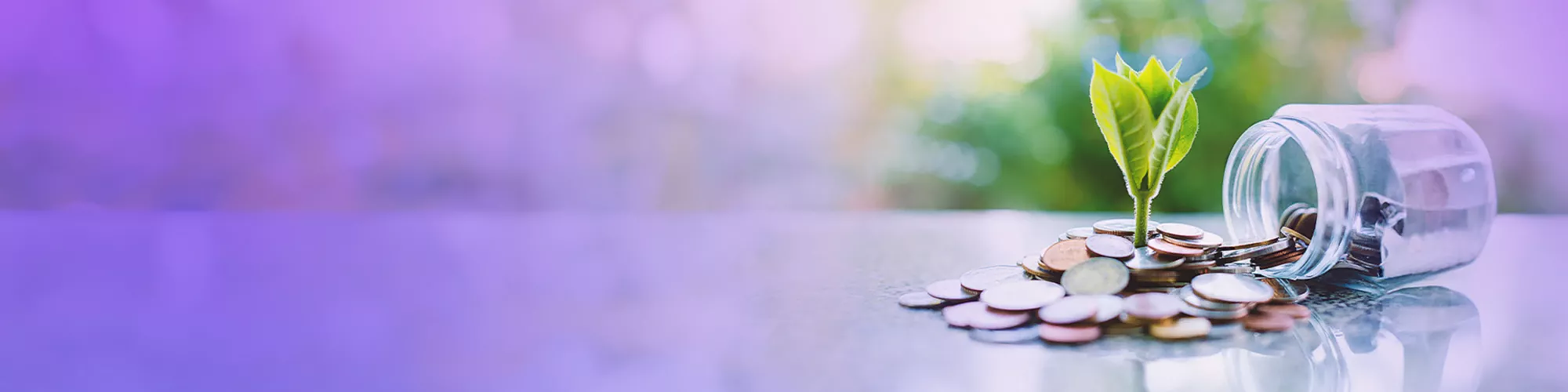 Plants and coins