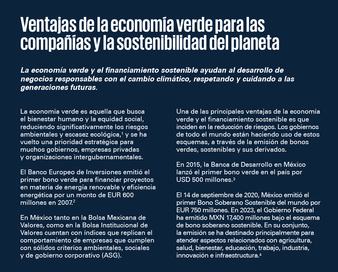 Ventajas de la economía verde para las compañías y la sostenibilidad del planeta