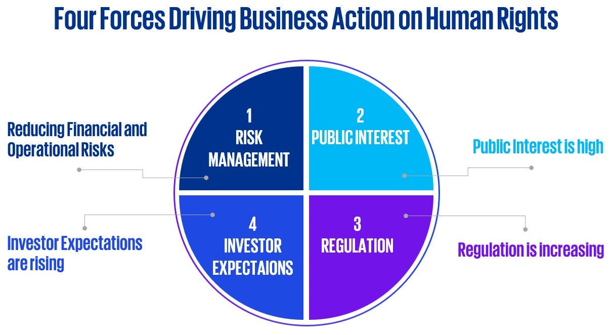 Four Forces Driving Business Action on Human Rights