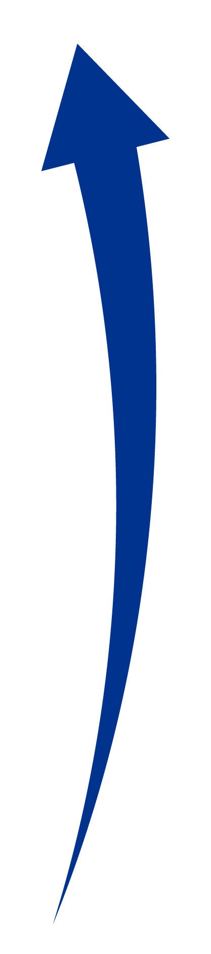 Career