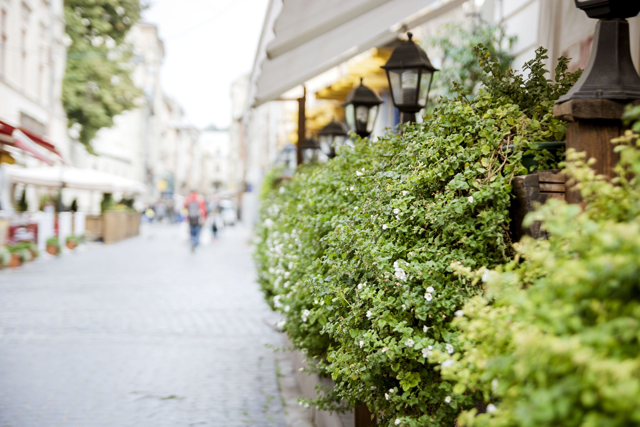 A street cafe decorated with green plants
