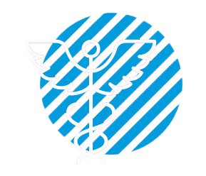 Medical icon