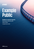 Example Public Company Limited: Guide to annual reports illustrative disclosures 2024-2025