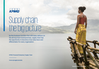 Supply Chain: the big picture