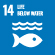 sdg icon