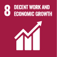 sdg icon