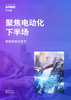 聚焦电动化下半场 智能座舱白皮书
