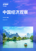中国经济观察：2023年二季度