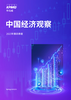 中国经济观察：2023年四季度