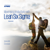 Maximising-Productivity-with-Lean-Six-Sigma