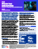 XWorm V6.0 – Advanced Plugin Arsenal and Stealth Enhancements