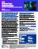 CL0P Ransomware - Exploiting Critical Vulnerabilities for Extortion