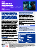 SafePay Ransomware - An Emerging Global Double-Extortion Threat