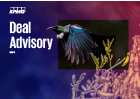Deal Advisory