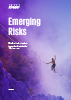 emerging risks