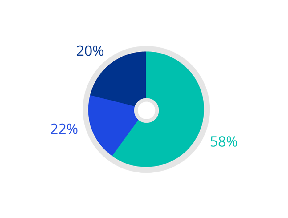 2021 Socio-economic background - Firm-wide
