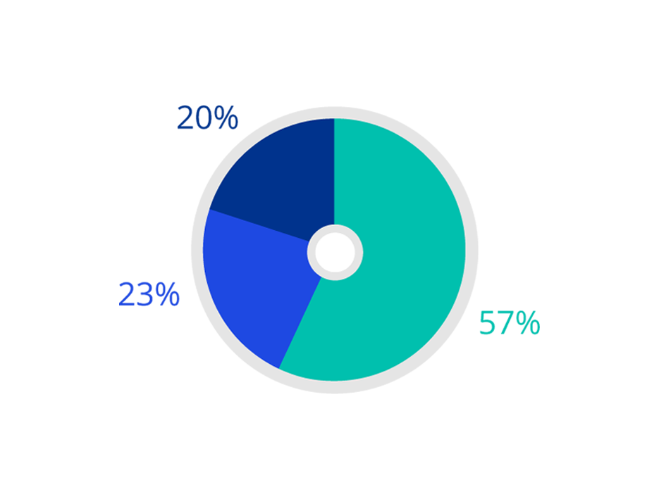 2021 Socio-economic background - Junior representation