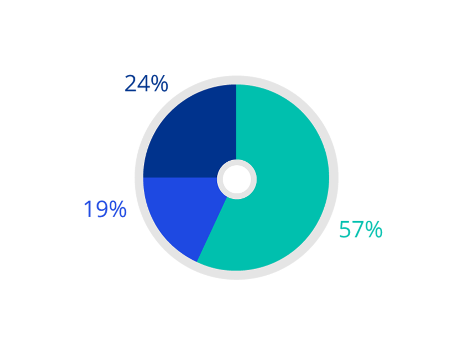 2021 Socio-economic background - Partner