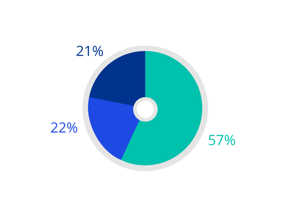 2021 Socio-economic background - Firm-wide