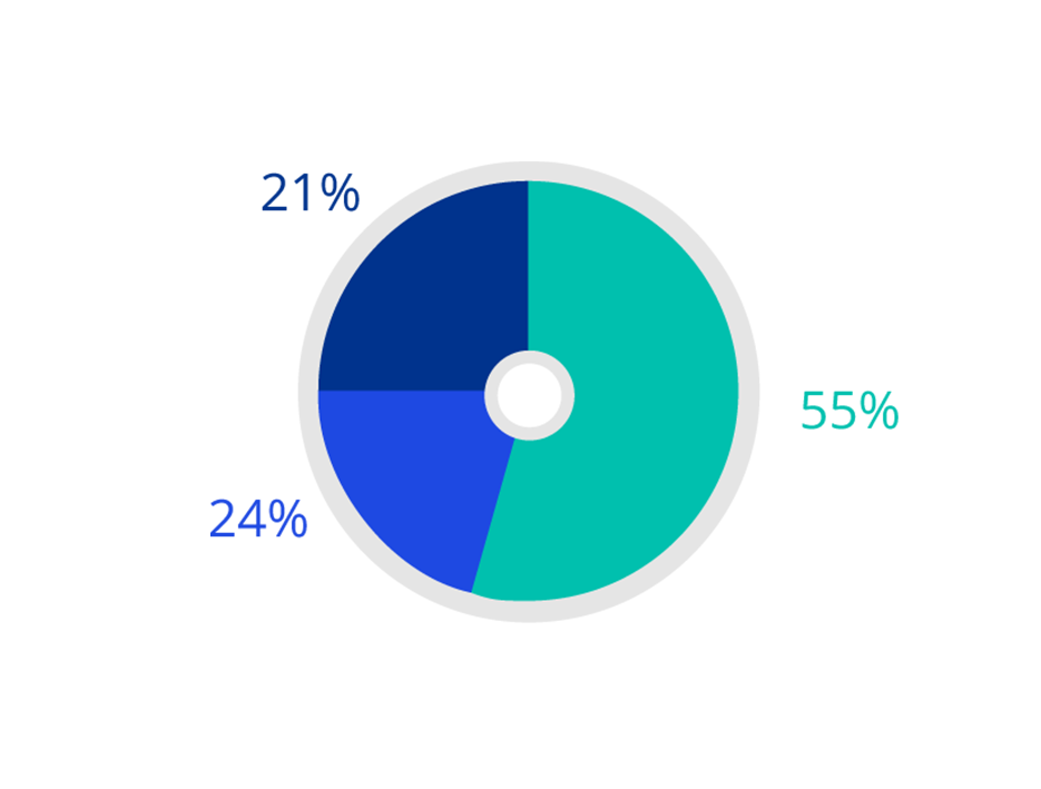 2021 Socio-economic background - Junior representation
