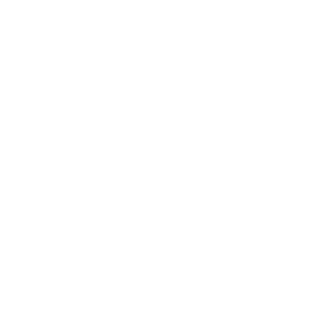 GMS – Head of Mobility/HR