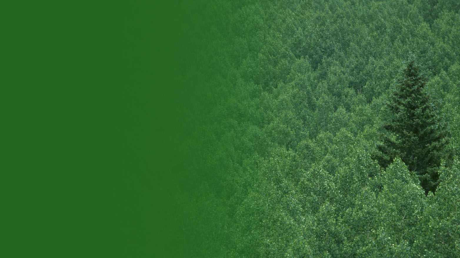 The "Soxification" of ESG