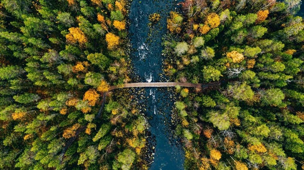 Sustainability Assurance Maturity: A New Era for Climate Action in the US and around the world