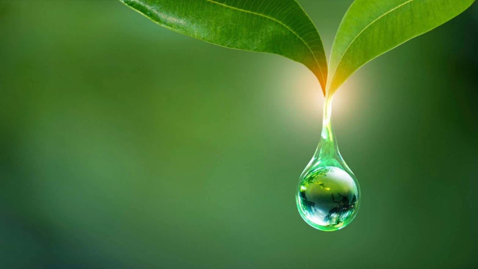 Global implications of the Corporate Sustainability Reporting Directive