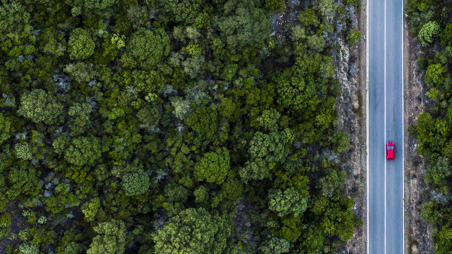 Drive trust with connected ESG reporting