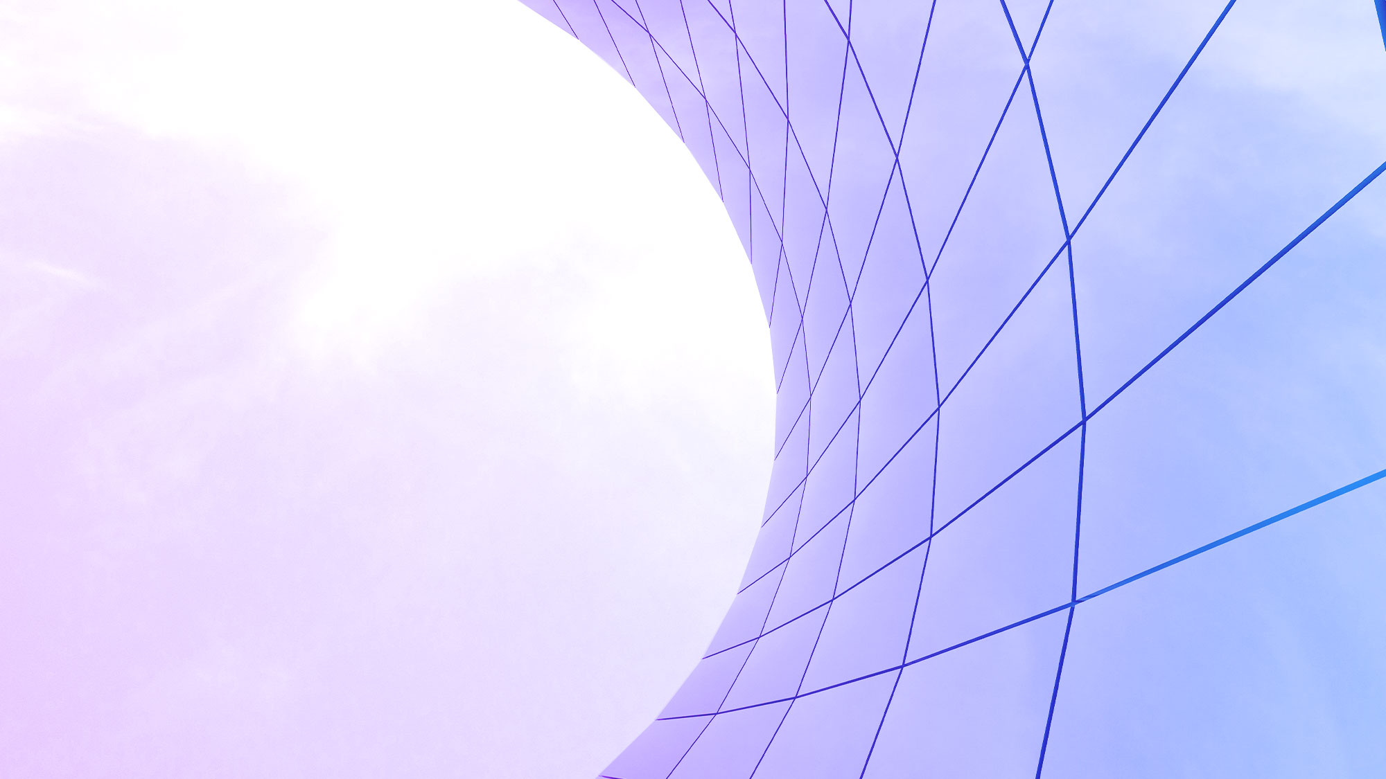 Business License Services