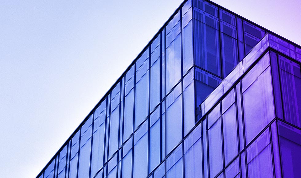 Reverse audit services