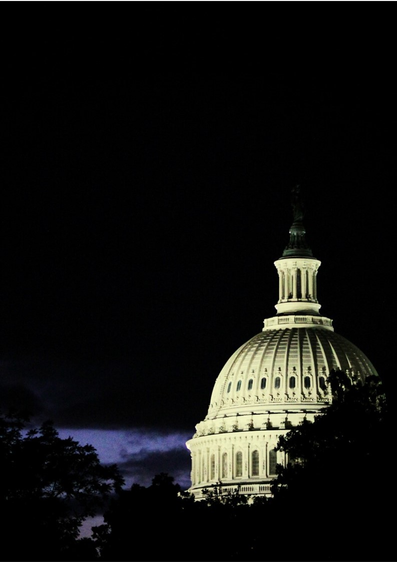 flag flying in front of capital building
