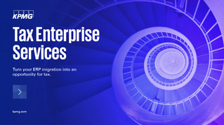 Tax Enterprise Support Services