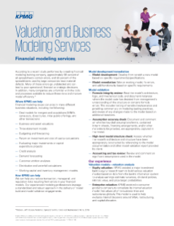 Financial modeling services