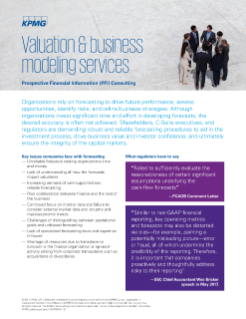 Prospective financial information (PFI) consulting