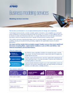 Business modeling services