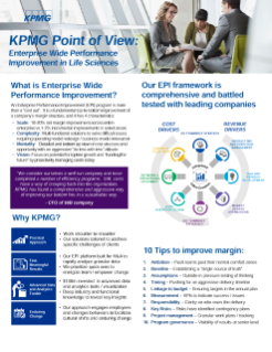 KPMG Point of View