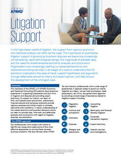Litigation Support