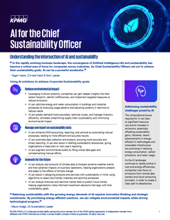 AI for the Chief Sustainability Officer