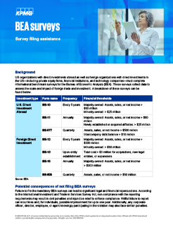 BEA Surveys