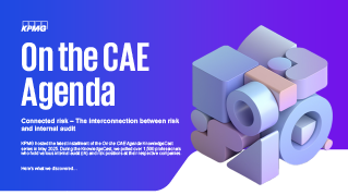 Connected risk: The interconnection between risk and internal audit