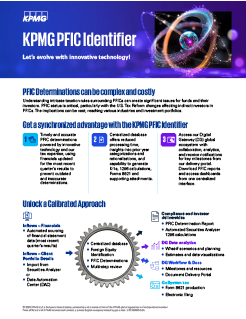 Download PFIC Identifier Brochure